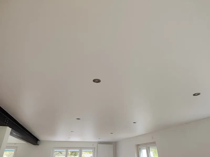 Salon avec ancien plafond - Après